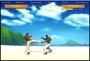 CapoeiraFighter
