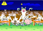 MADCOWS!